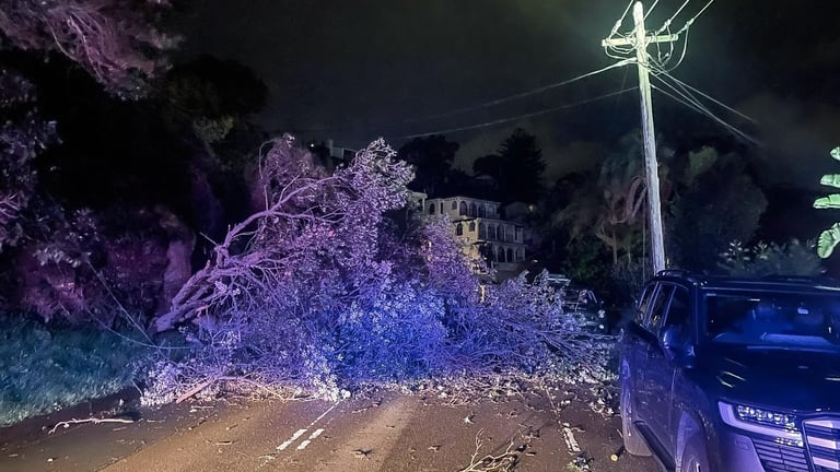 Severe Storms Batter Sydney and Central Coast: Floods, Power Outages, and Road Closures Rampant