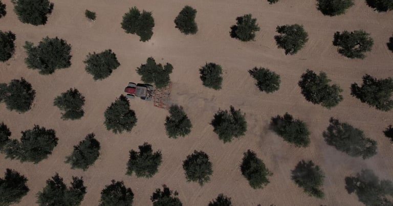 Eurozone Economy Surges to 29-Month High, Services Drive Growth Despite France's Drag