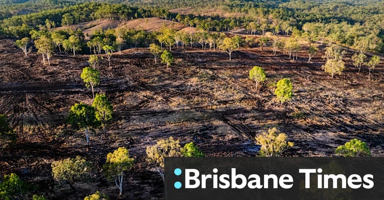 Queensland: Australia's Deforestation Capital Threatens Great Barrier Reef with Massive Land Clearing