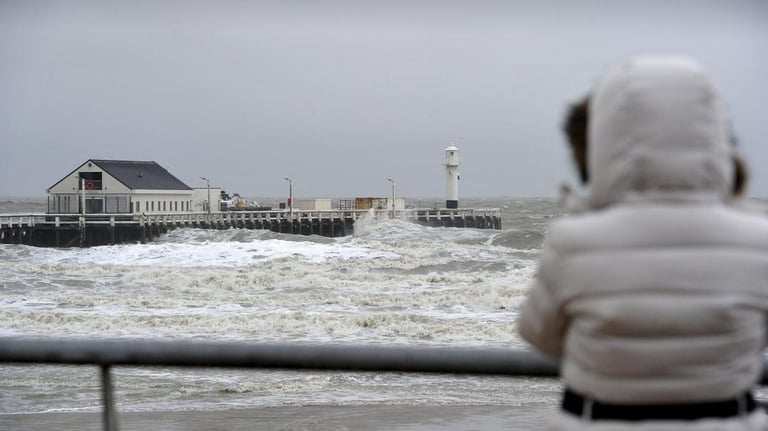 Belgium Braces for Strong Winds: Yellow Alert Issued Across Several Provinces