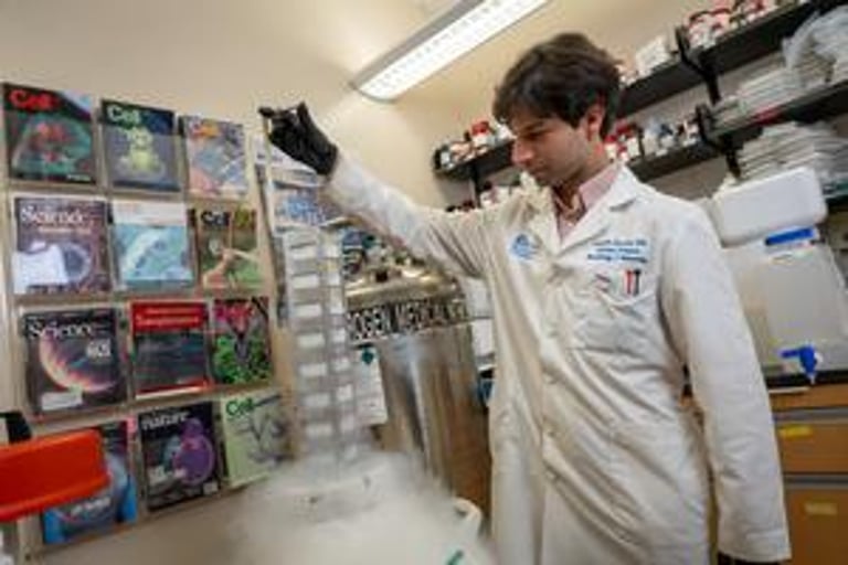 Breakthrough Immunotherapy Targets B-Cells to Improve Transplant Success in Sensitized Patients