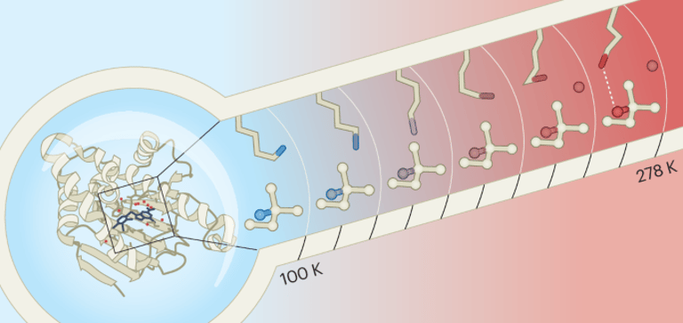 Revolutionizing Drug Discovery: Embracing Protein Dynamics and Flexibility for Better Predictions