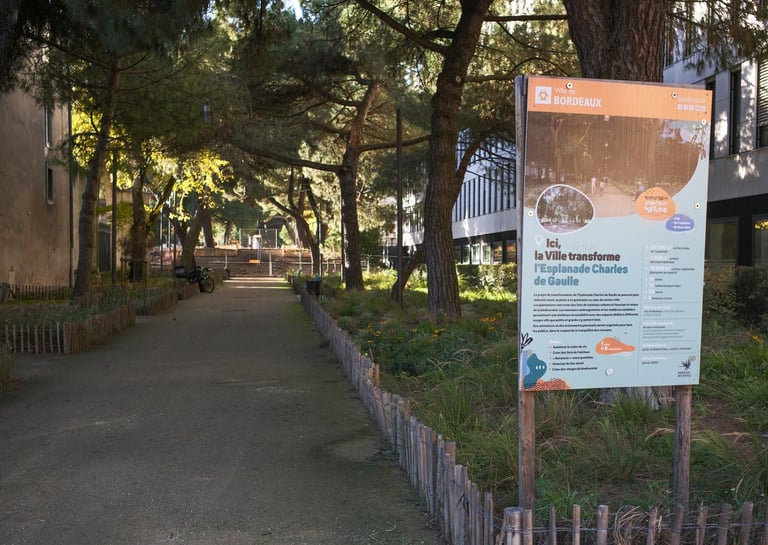 Bordeaux's Green Revolution: Planting 1 Million Trees to Combat Heat and Boost Air Quality