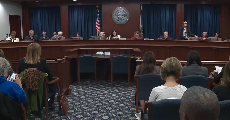 Michigan Senate Debates Bills Limiting ICE Activities, Sparking Heated Immigration Enforcement Debate