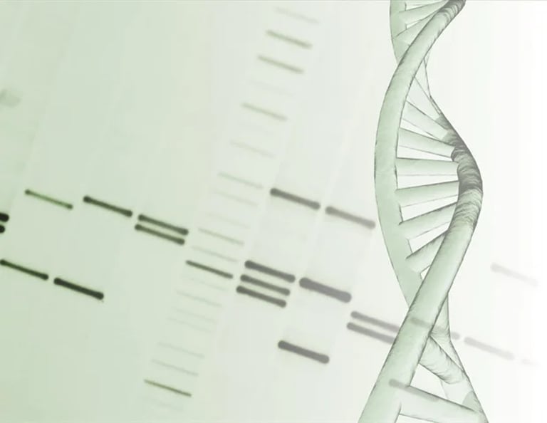Cohesin's New Role in Genome Protection Could Revolutionize Cancer Treatment