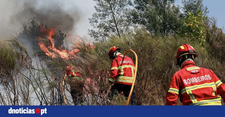 EU Faces Doubling Wildfires by 2100: Urgent Call for Proactive Fire Management and Policy Overhaul