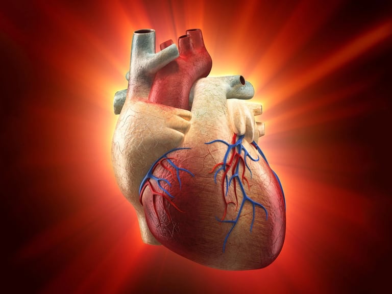 Study Reveals Artificial Hearts May Regenerate Heart Muscle, Paving Way for New Heart Failure Treatments