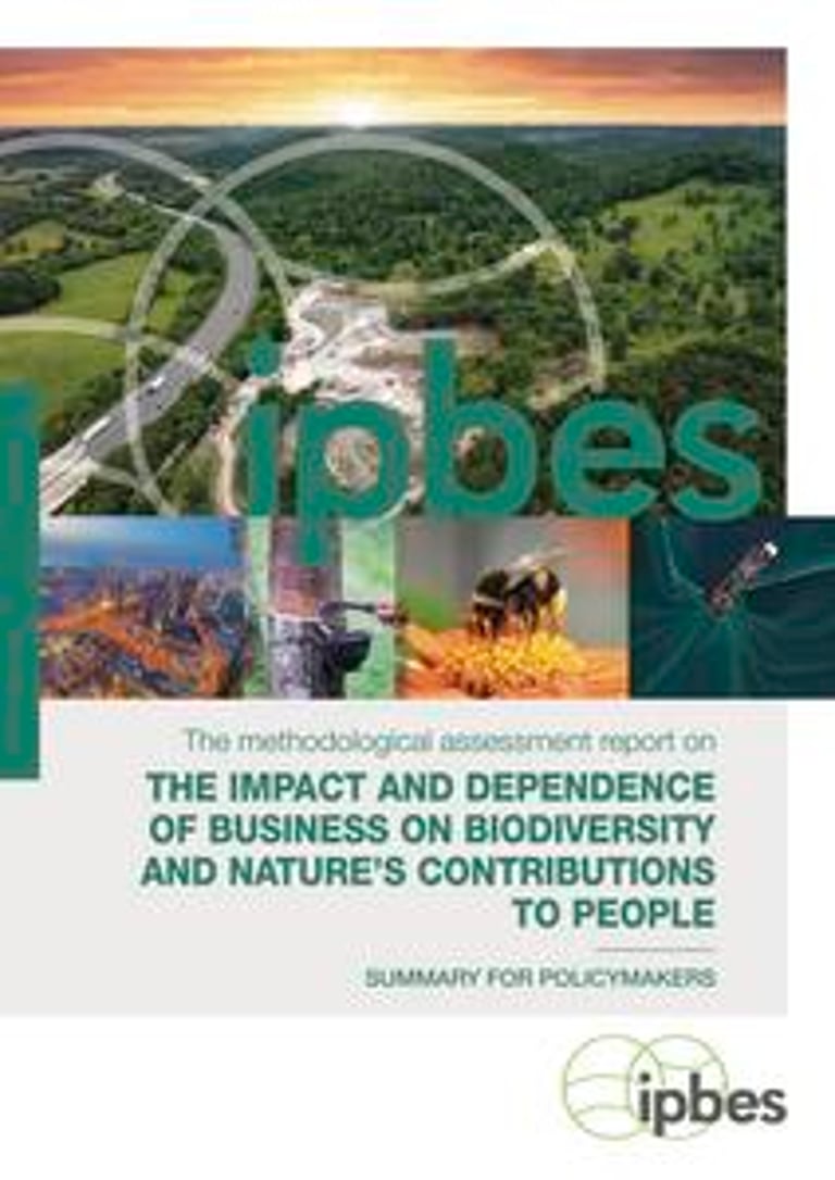 Urgent Call for Businesses to Tackle Biodiversity Loss as Economic Threat, IPBES Report Warns