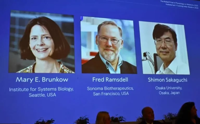 Nobel Prize in Medicine 2025 Honors Discovery of Regulatory T Cells in Immune System