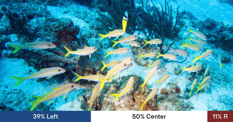 Groundbreaking 'Dark Oxygen' Discovery in Deep Pacific Challenges Traditional Beliefs, Sparks Debate on Deep-Sea Mining