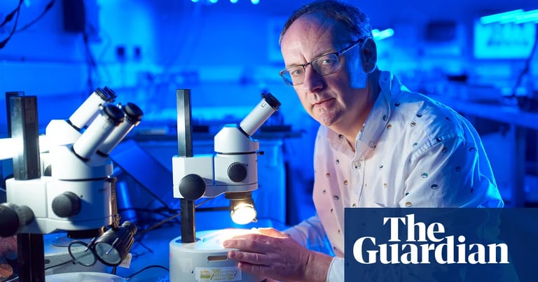 Brittle Stars: Ocean Floor Engineers Under Threat from Climate Change