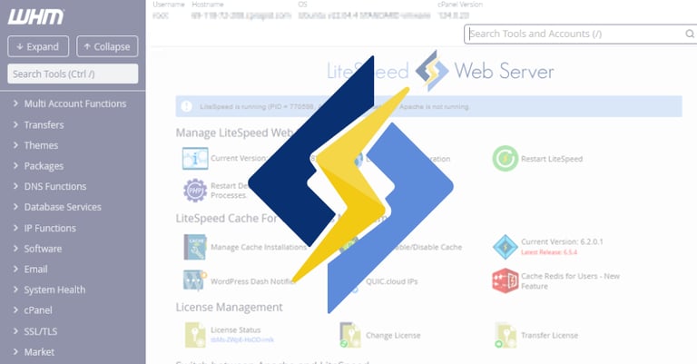 Critical cPanel LiteSpeed Vulnerability Exposes Servers to Root-Level Exploits, Urgent Update Required