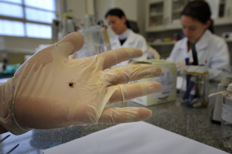 Bourbon Virus: The Hidden Tick-Borne Threat Lurking Beyond Kansas