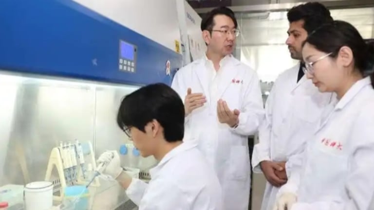 Chinese Team Unveils AI Tool 'TIMES' with 82.2% Accuracy in Predicting Liver Cancer Recurrence