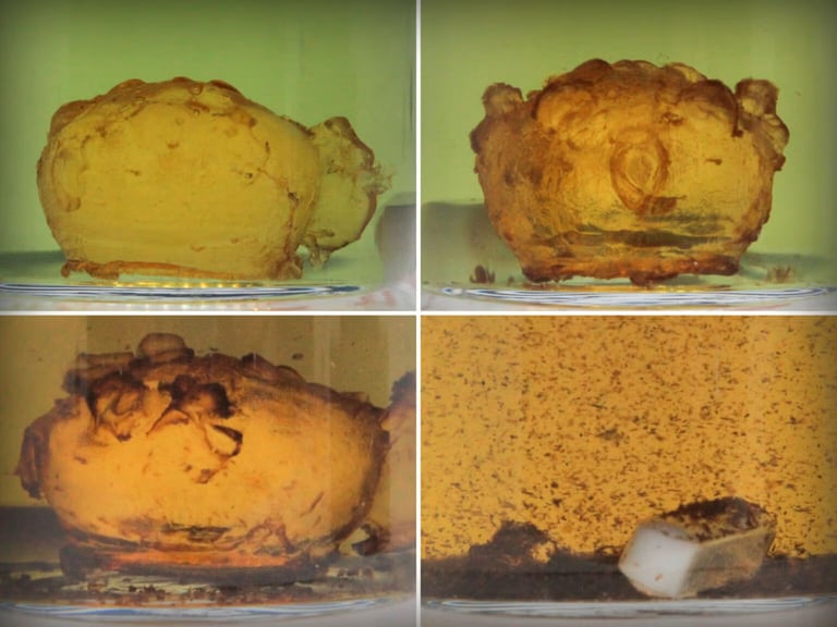 Breakthrough Recycling Method Revolutionizes Durable Plastic Waste Management
