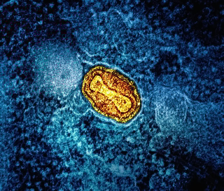 DRC Mpox Outbreak: 22,000 Cases, 700 Deaths Spur Urgent Vaccine Rollout Across Africa