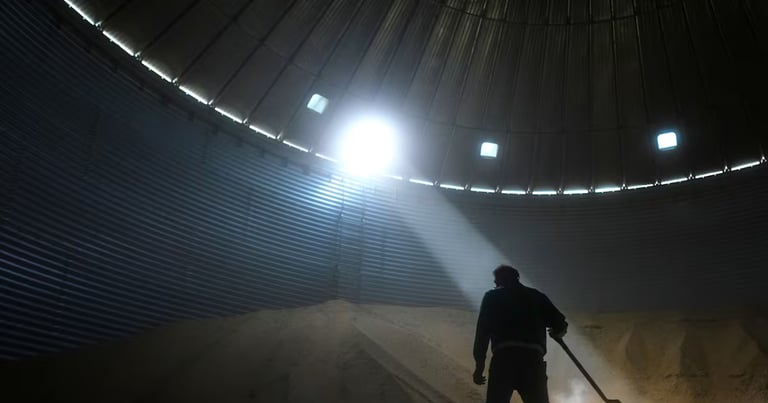 Midwest Soybean Farmers Face Financial Strain Amid Trade Tensions and Rising Costs