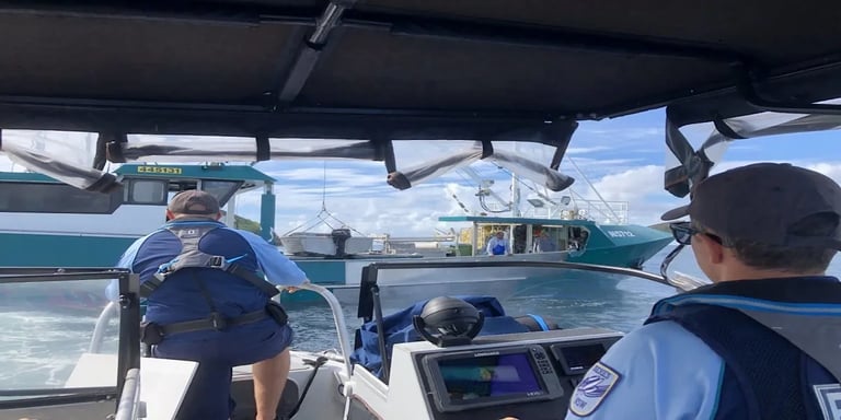 NSW Cracks Down on Illegal Fishing: New Laws, Hefty Fines, and Stricter Enforcement