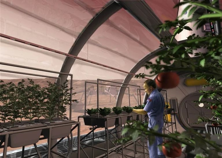 Scientists Explore Fungi for Space Farming: Transforming Moon and Mars Soil for Crop Growth