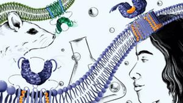 Breakthrough Study Exposes Flaws in Mouse Models for Human Cancer Drug Development