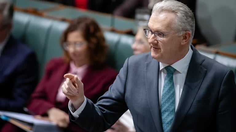 Australia's Bridging Visa Surge: A System Bottleneck Amid Migration Management Challenges