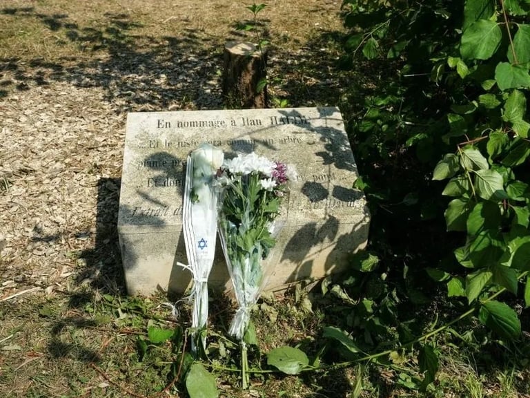 Macron Condemns Antisemitic Attack on Ilan Halimi Memorial Tree as France Grapples with Rising Hatred