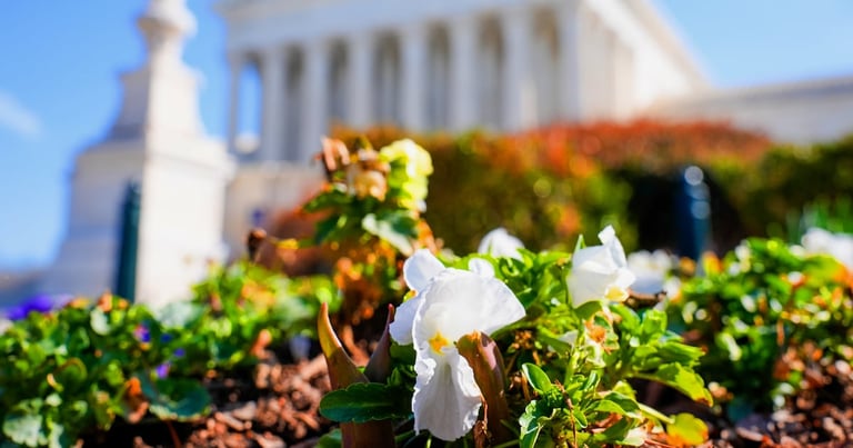 Supreme Court Weighs Revival of Controversial Asylum Metering Policy at U.S.-Mexico Border