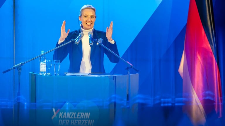 AfD Financial Scandal Raises Alarm: Calls for Stricter Political Donation Regulations in Germany