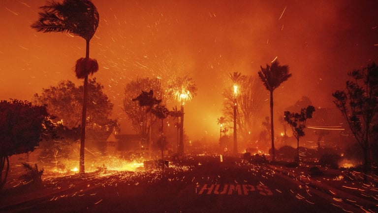 LA Wildfires Disrupt Hollywood Awards Season, Prompt Creative Crisis Response