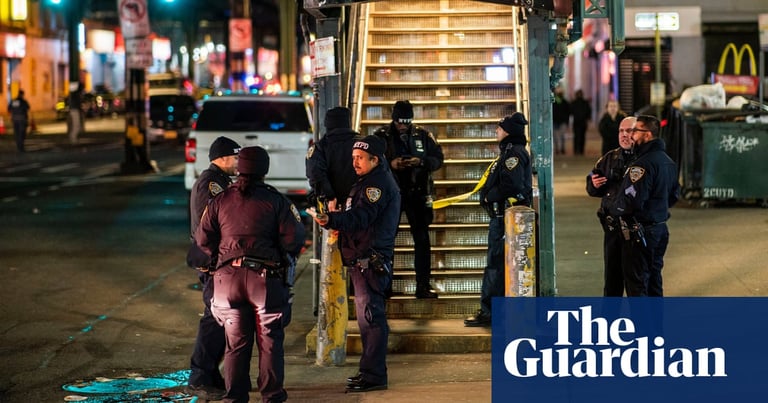 Rush Hour Horror: Innocent Man Killed in Bronx Subway Shooting Spree