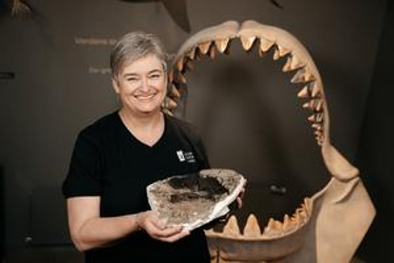 Rediscovered Megalodon Vertebra Confirms Predator's Massive Size and Reveals New Insights