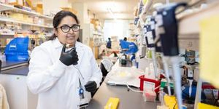 Study Uncovers Mitochondria's Dual Role in Energy and Cell Death Regulation