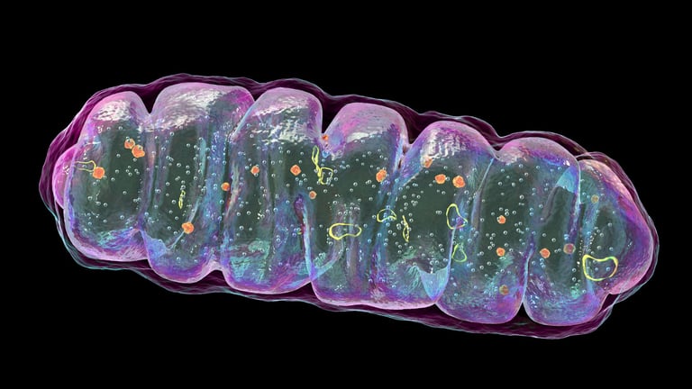Experimental Treatment Helps Boy with Rare Disorder Regain Mobility, Offers Hope for Mitochondrial Diseases