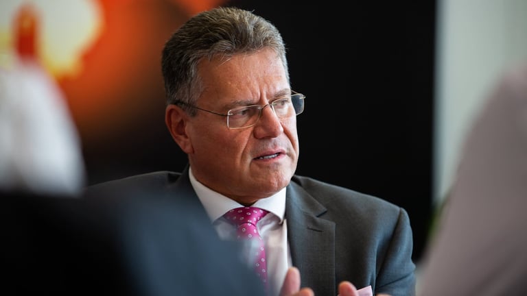 EU Proposes €50 Billion U.S. Import Boost to Tackle Trade Deficit, Seeks Tariff Relief