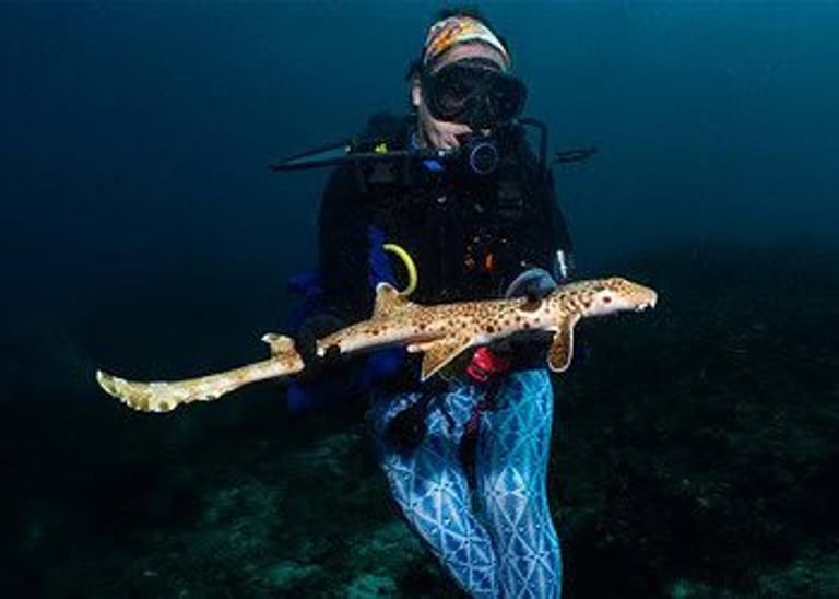 Expedition Unveils 149 New Species and Shark Graveyard in Indian Ocean