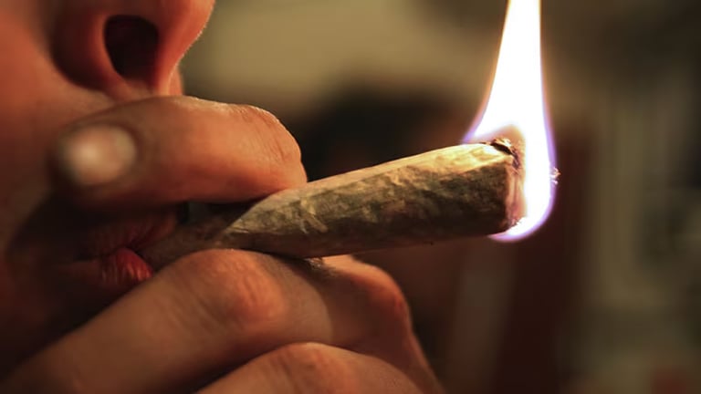 Cannabis Legalization in Canada Linked to Surge in Schizophrenia Cases, Study Warns