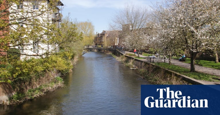 Britain and Ireland's Rivers in Crisis: Urgent Action Needed to Combat Pollution