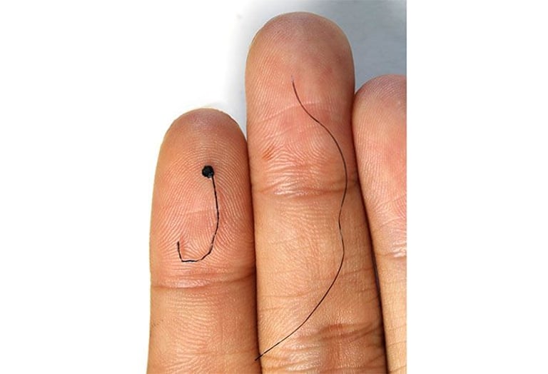 Revolutionary Hair-Like Electrodes Offer Comfortable, Long-Term Brain Monitoring
