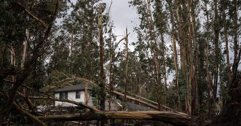 Pineapple Express Storm Triggers Emergency in Southern California