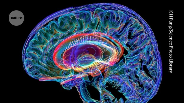 Psychedelic Brain Signature: Study Reveals Common Neural Effects Across Multiple Drugs