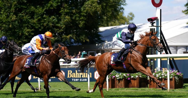 Zavateri Shines in Breakout Season, Eyes Classic Glory After Dewhurst