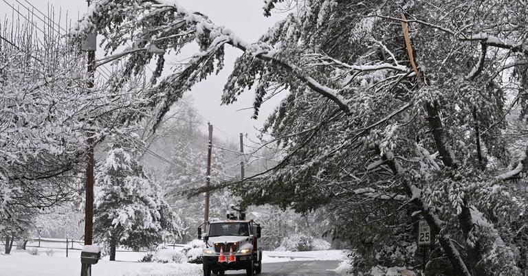 Nor'easter to Slam Northeast: Schools Close, Travel Bans Loom Amid Heavy Snowfall