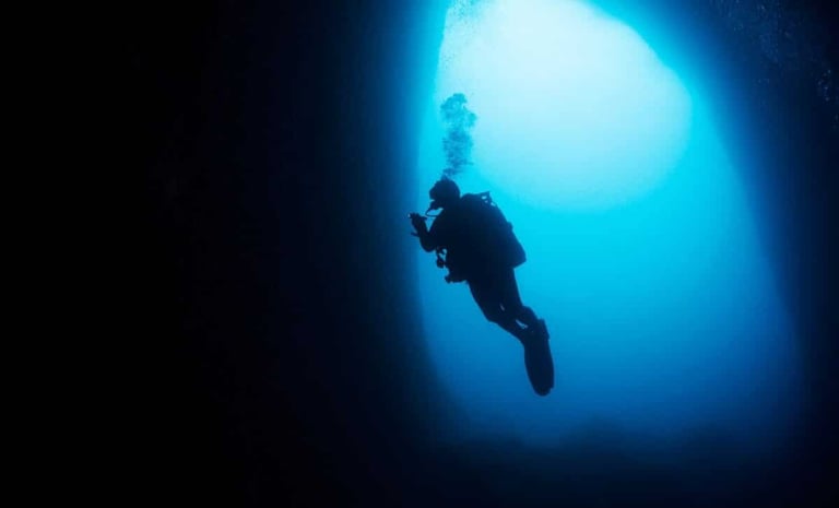 Rare 'Living Fossil' Coelacanths Filmed Alive, Face Threats from Climate Change and Deep-Sea Tourism