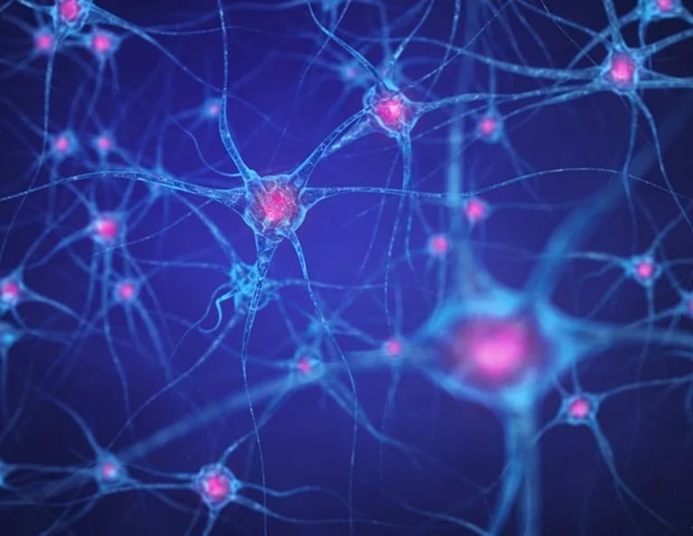 New Tool 'Townlet' Maps Genetic Influence on Brain Cell Resilience, Highlights Pathways in Autism Linked to Macrocephaly