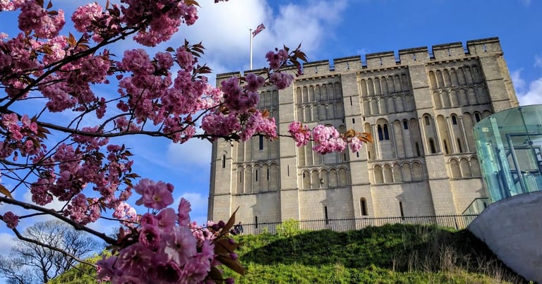 Five UK Museums Vie for £120,000 Art Fund Museum of the Year 2026 Prize