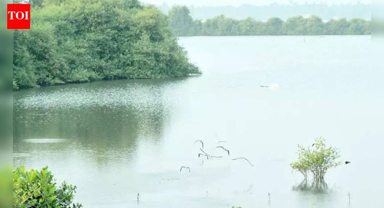 Vembanad Lake Restoration: Centre's Plan to Combat Wetland Decline and Revitalize Ecosystem