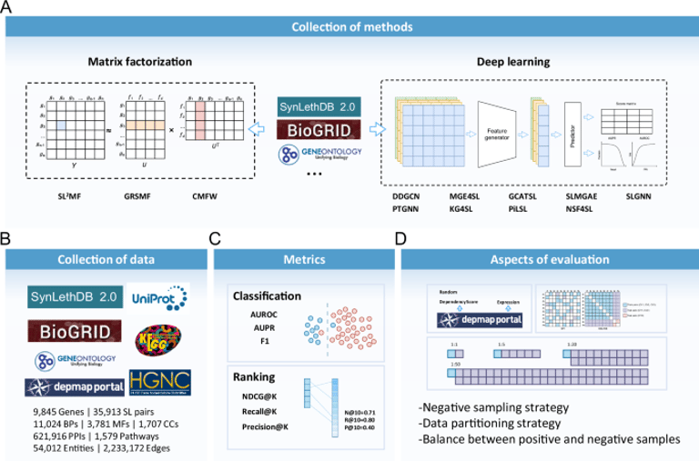 Revolutionizing Cancer Treatment: New Study Benchmarks AI Methods for Predicting Life-Saving Gene Interactions