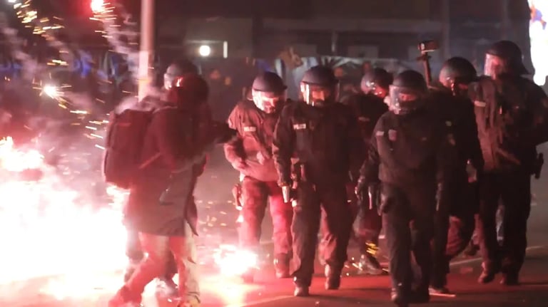 Over 1 Million Germans Demand Ban on Private Fireworks After Violent New Year Celebrations