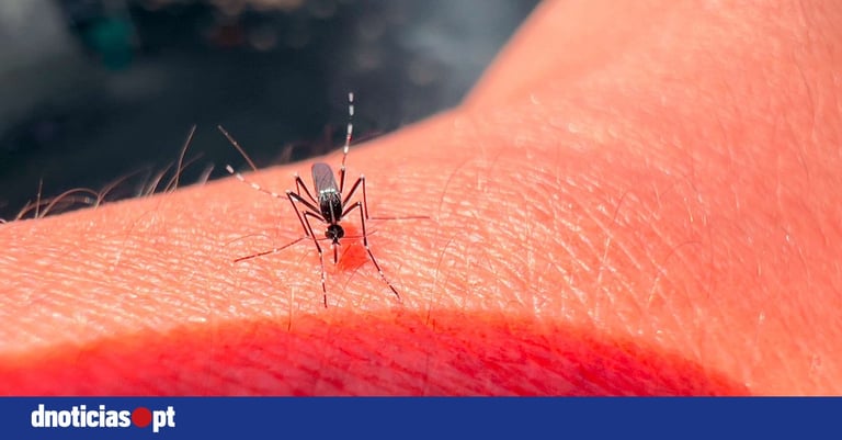 Chikungunya Threat Expands in Europe: Rising Temps Boost Mosquito-Borne Virus Spread