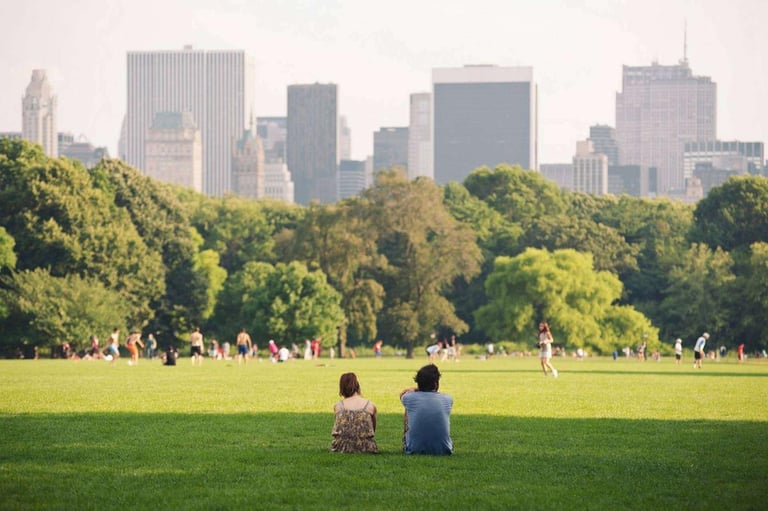 Living Near Green Spaces Cuts Stroke Risk by 16%, Study Finds